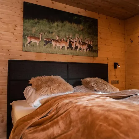 Alpen Hotel Berwang